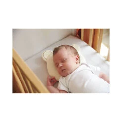 Candide Housse Pour Coussin Cale-tête P'tit Panda Organic