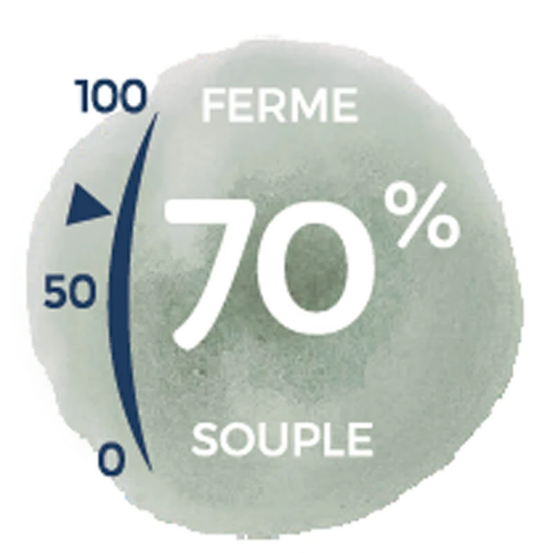 Candide Matelas Aloé Vera Déhoussable 7 Candide Matelas Aloé Vera Déhoussable – Image 7