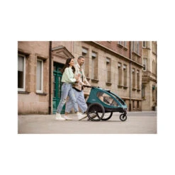 HAUCK Remorque De Vélo Et Poussette 2 En 1 Dryk Duo Grey