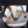 BeSafe Siège-auto Beyond I-Size Groupe 0+/1/2 Et Base Isofix Beyond